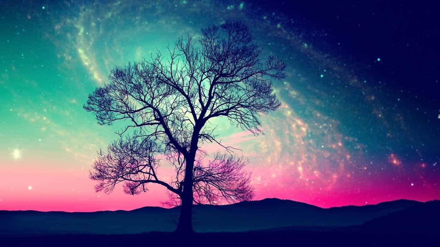 La importancia de recordar los sueños