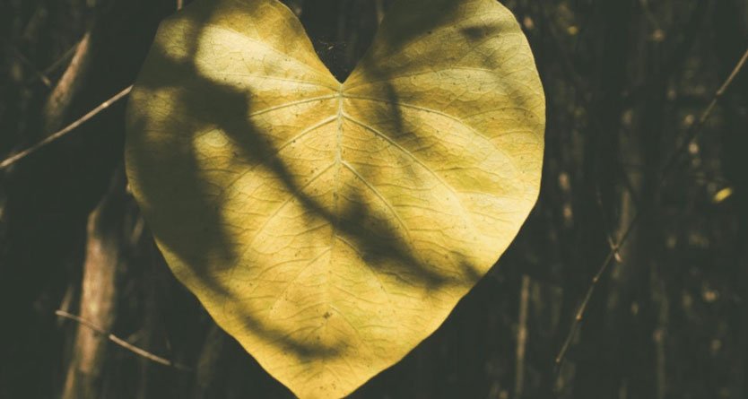 Del viejo amor al buen amor: 12 reglas de oro para vivir en pareja hoy