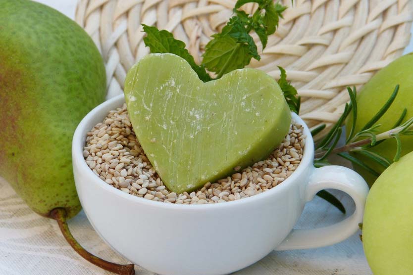 CONOCE EL TALLER Y LA FORMACIÓN INTENSIVA EN SALUD SISTÉMICA IMPARTIDOS POR STEPHAN HAUSNER ESTE MARZO