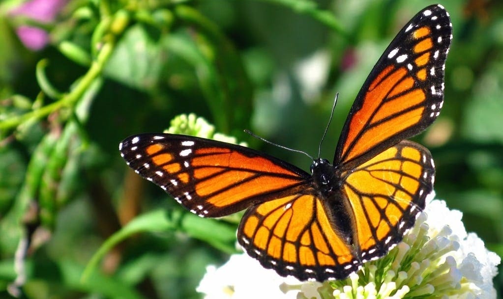 ¿Cómo superar los bloqueos emocionales?