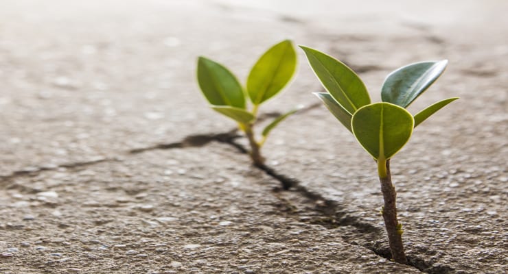 PRÓXIMOS TALLERES DE CONSTELACIONES FAMILIARES EN MADRID