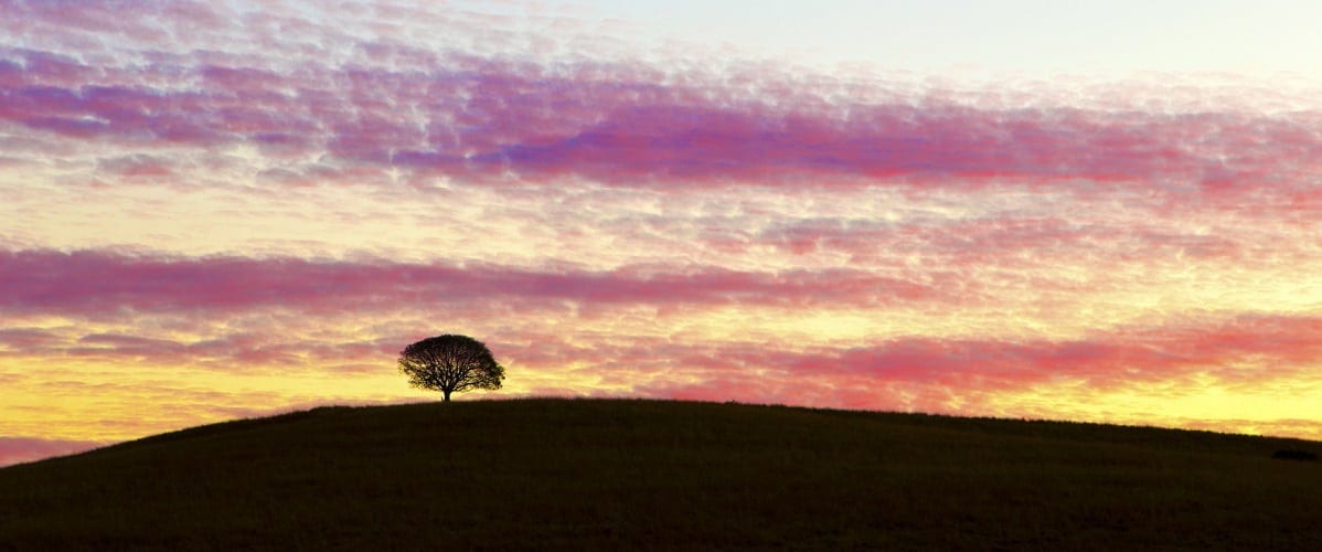 El duelo como oportunidad de autoconocimiento