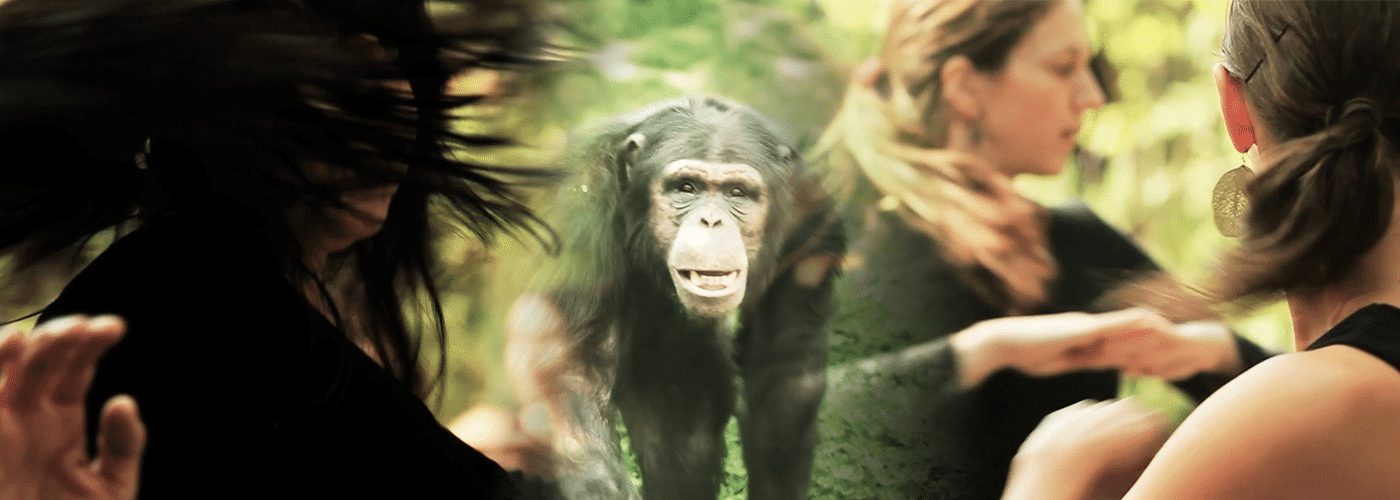 Integración Cognitivo Corporal